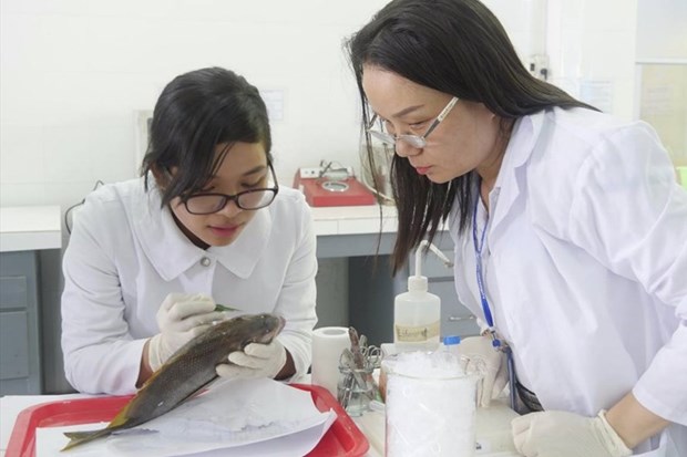 Des universitaires vietnamiens remportent des prix de recherche scientifique americains hinh anh 1