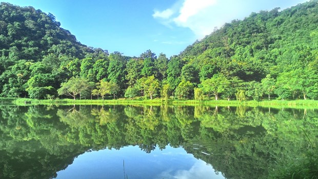 Les huit parcs nationaux les plus impressionnants du Vietnam hinh anh 3