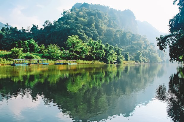 Les huit parcs nationaux les plus impressionnants du Vietnam hinh anh 5