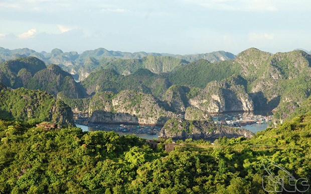 Les huit parcs nationaux les plus impressionnants du Vietnam hinh anh 8