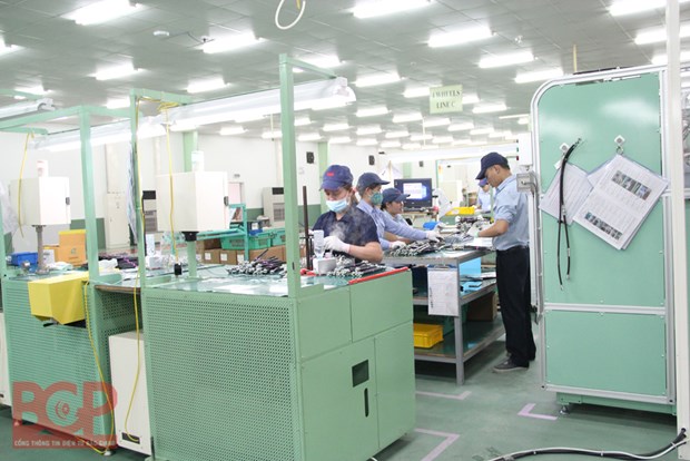 La province de Bac Giang stimule l'application des biotechnologies hinh anh 2