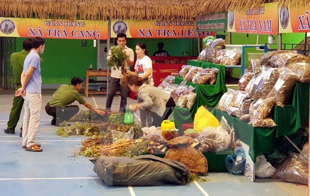 Quang Nam : La 39e foire du ginseng de Ngoc Linh attire pres de 1.000 visiteurs hinh anh 2