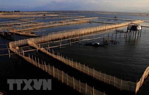 Bac Giang cherche a construire 130 modeles d'aquaculture intensive de haute technologie hinh anh 2
