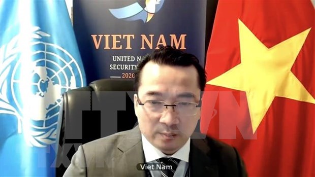 Le Vietnam appelle la Libye a respecter le cessez-le-feu hinh anh 1