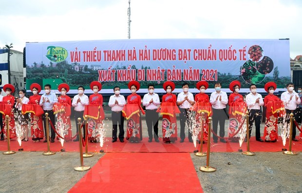 Hai Duong exporte ses premieres tonnes de litchi de l'annee 2021 hinh anh 1