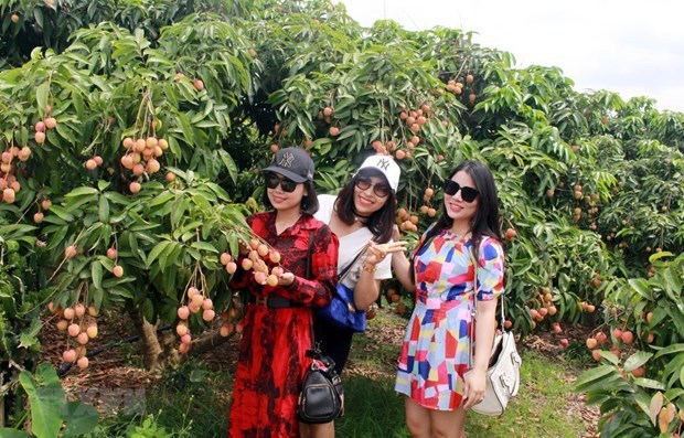 Bac Giang promeut le developpement du tourisme communautaire hinh anh 1