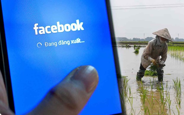 Nikkei Asia: Facebook montre la surprise aux utilisateurs ruraux du Vietnam hinh anh 1