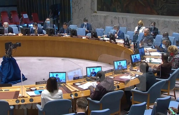 Le Conseil de securite se reunit sur la situation au Soudan, en Somalie et du plateau du Golan hinh anh 1