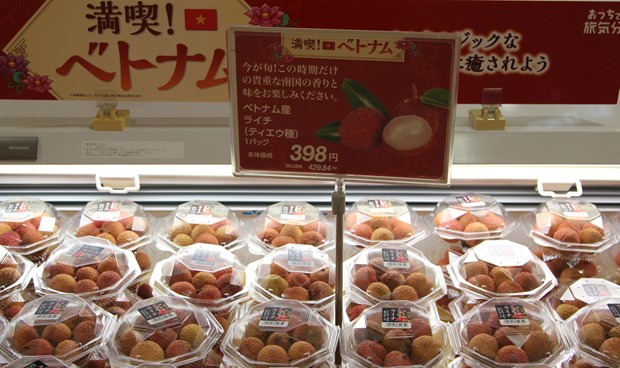 Semaine des produits vietnamiens au Japon hinh anh 1