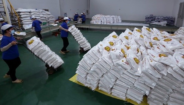 Hanoi fait don de 6.000 tonnes de riz a Ho Chi Minh-Ville et Binh Duong hinh anh 1