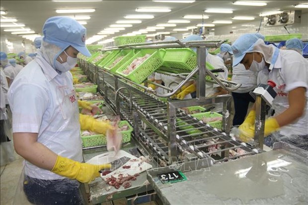 Les exportations de Tien Giang ont augmente de 19,8% en sept mois hinh anh 1