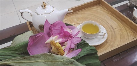 Le the au lotus du lac de l’Ouest, une specialite de Hanoi hinh anh 3