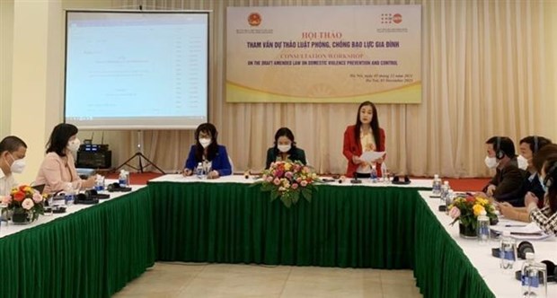 L'UNFPA soutient les efforts du Vietnam contre la violence familiale hinh anh 2