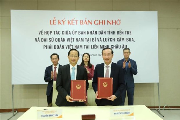 Booster la cooperation entre des localites vietnamiennes et l'Union europeenne hinh anh 1