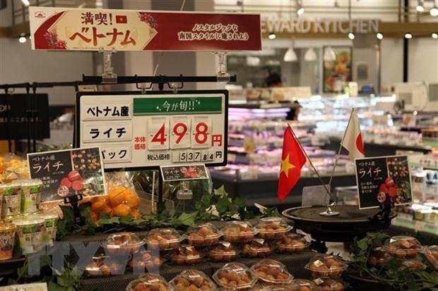 Vietnam-Japon renforcent leur cooperation dans la transformation des produits alimentaires hinh anh 1