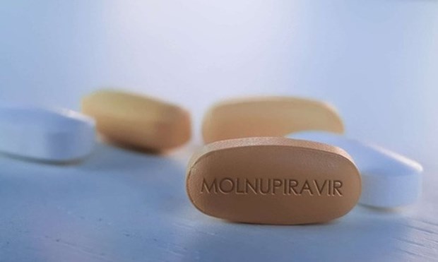 Medicaments contenant du Molnupiravir pour le traitement de COVID-19 proposes pour etre homologues hinh anh 1