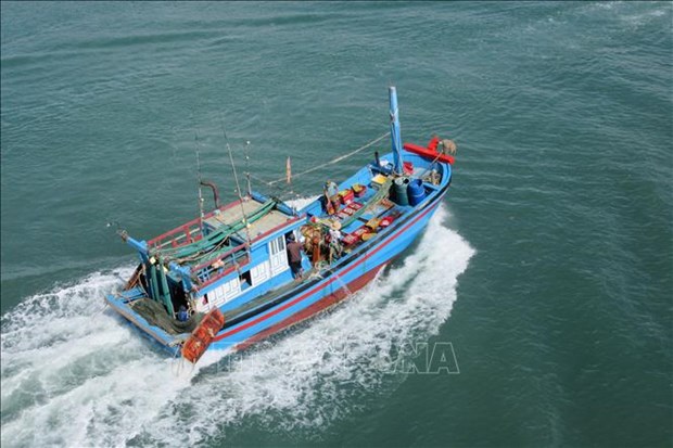Ninh Thuan ameliore la capacite de sa flotte de peche hauturiere hinh anh 1