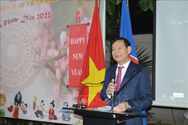 Des Vietnamiens en Egypte celebrent le Nouvel An lunaire hinh anh 1