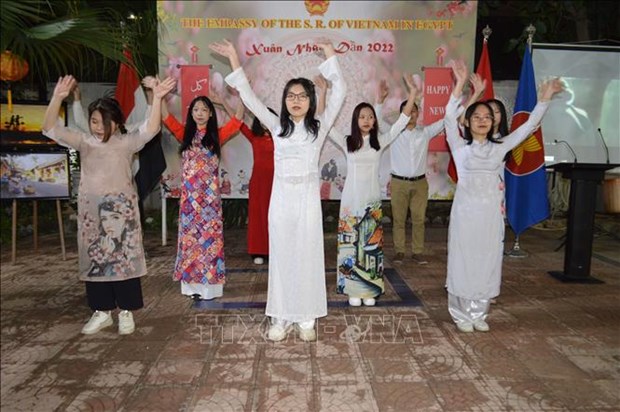 Des Vietnamiens en Egypte celebrent le Nouvel An lunaire hinh anh 2