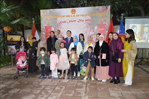 Des Vietnamiens en Egypte celebrent le Nouvel An lunaire hinh anh 3