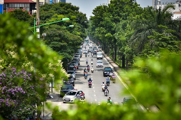 Hanoi s'efforce d'augmenter les espaces verts dans les zones urbaines hinh anh 1