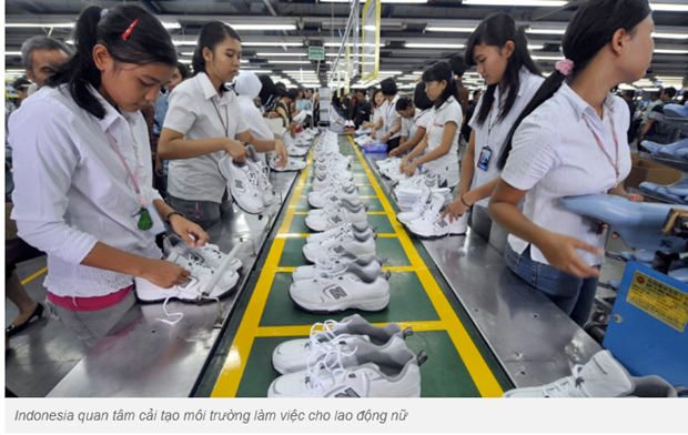 L'Indonesie ameliore l'environnement de travail des femmes hinh anh 1