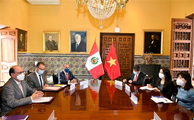 Le Perou considere le Vietnam comme un partenaire important en Asie du Sud-Est hinh anh 1