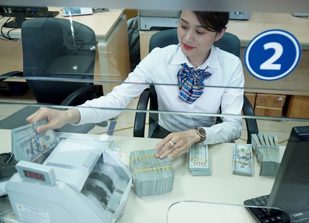 Les envois de fonds a Ho Chi Minh-Ville en hausse de 14,2% hinh anh 1