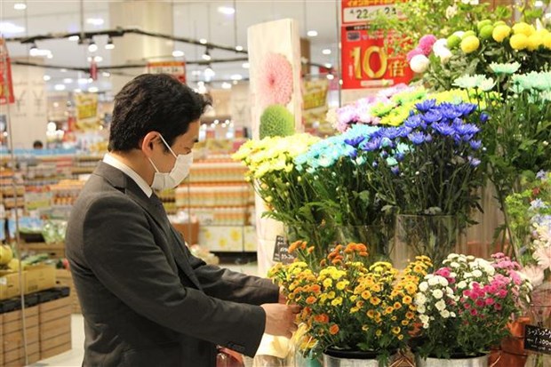 Les fleurs du Vietnam sont preferees par les consommateurs japonais hinh anh 2