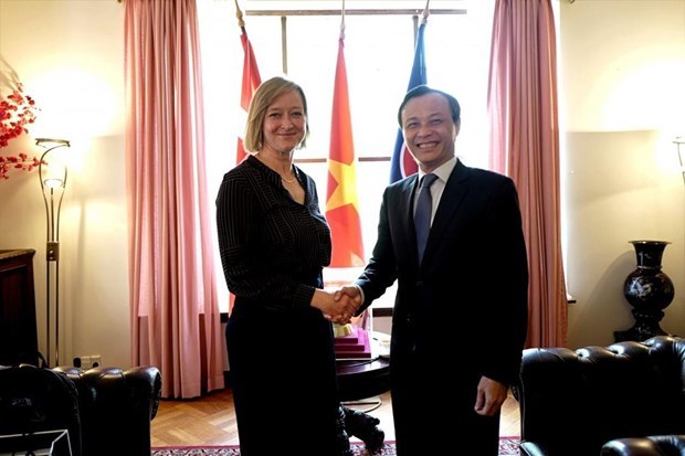 Le Vietnam et le Danemark promeuvent les echanges entre leurs peuples hinh anh 1