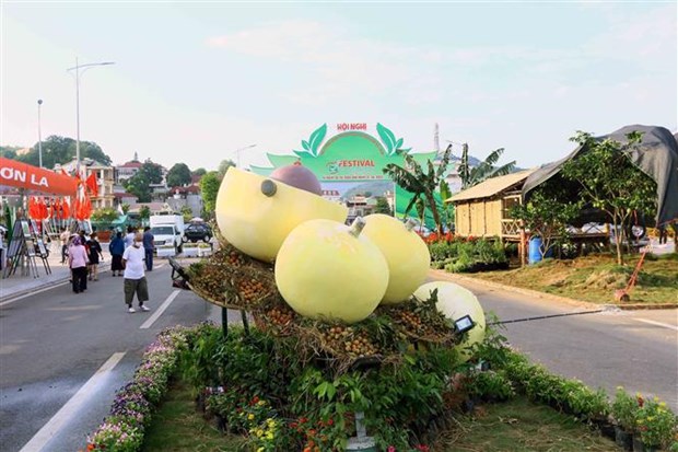 Le PM assiste au festival des fruits et legumes et des produits OCOP a Son La hinh anh 1