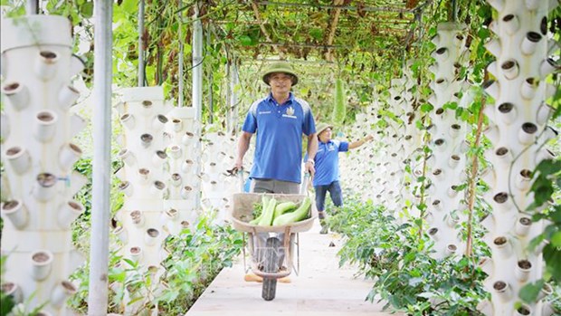 Bac Giang s'efforce d'augmenter la valeur de la production agricole hinh anh 1