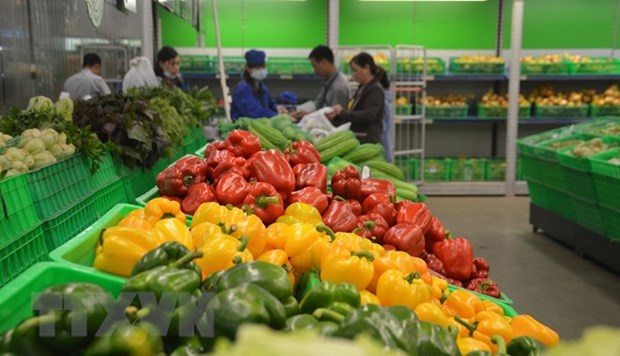 Exportations des fruits et legumes de 1,4 milliard de dollars en cinq mois hinh anh 2