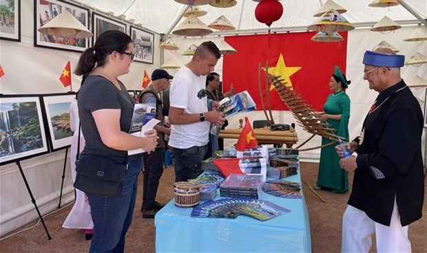 Le Vietnam participe aux Fetes consulaires de Lyon hinh anh 2