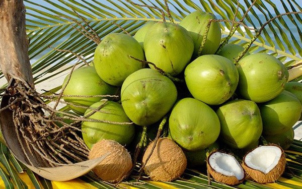 Ben Tre cherche a augmenter ses exportations de produits a base de noix de coco hinh anh 1