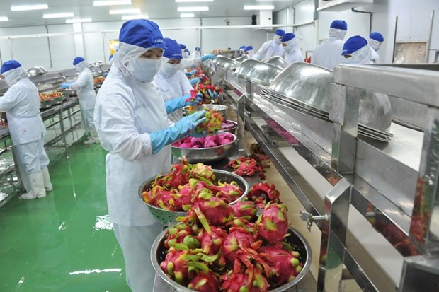 COVID-19: adapter les produits agricoles vietnamiens aux mesures antiepidemiques strictes hinh anh 1