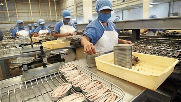 Le thon du Vietnam s’exporte bien vers la France hinh anh 2