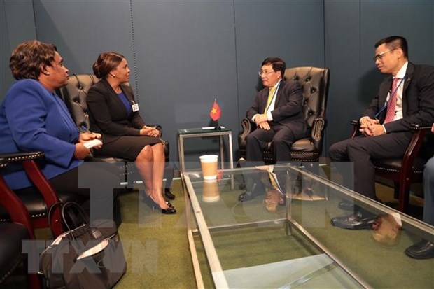 Le Vietnam renforce sa cooperation bilaterale avec les Pays-Bas et les pays africains hinh anh 2