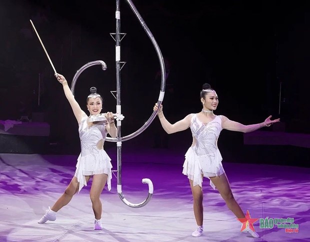 Le Vietnam remporte le prix d'or au Festival international du cirque en Russie hinh anh 2