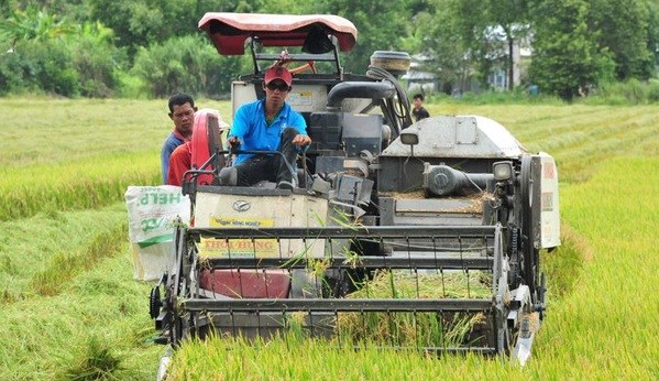 Plus de 7 millions d'euros pour aider les agriculteurs a produire du riz et des mangues bio hinh anh 1