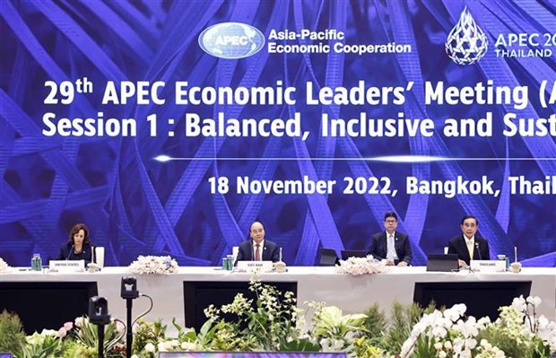 Le president Nguyen Xuan Phuc participe a la 29e reunion des dirigeants economiques de l’APEC hinh anh 1