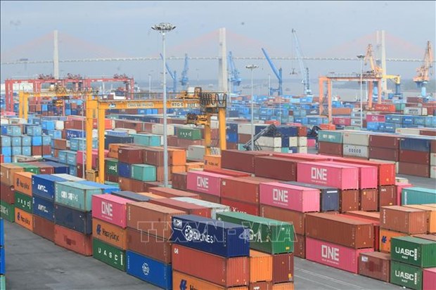 Les exportations de produits vietnamiens vers l'Allemagne en hausse de 30,5% en 10 mois hinh anh 1