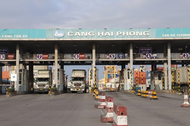 Les ports de Hai Phong et la transition numerique hinh anh 1