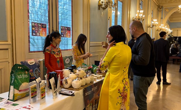 Vietnamese culture shines in APCV in France hinh anh 4