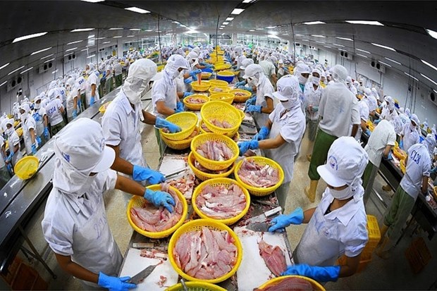 Le Vietnam reste le troisieme fournisseur de fruits de mer de la Republique de Coree hinh anh 1