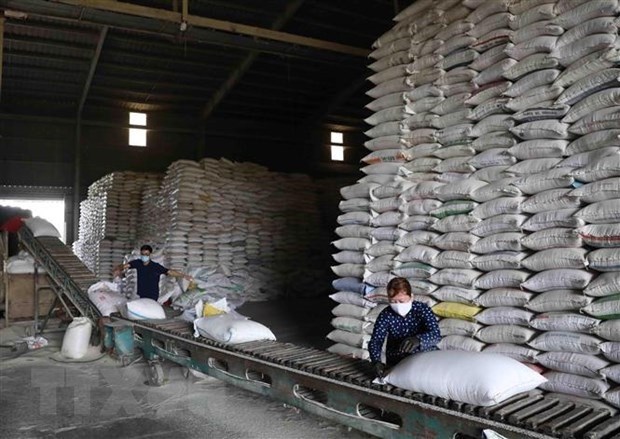 Les prix du riz vietnamien a leur plus haut niveau depuis 2 ans hinh anh 1