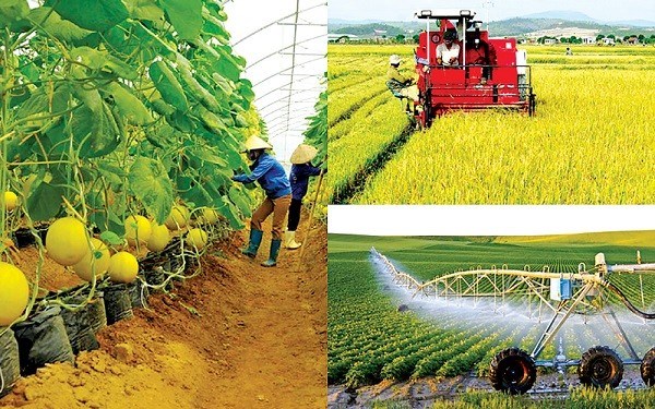 L’agriculture durable au Vietnam: un mouvement qui se developpe hinh anh 1