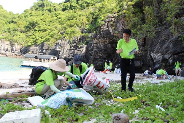 Le ministere des Ressources naturelles et de l'Environnement appelle a lutter contre la pollution plastique hinh anh 1