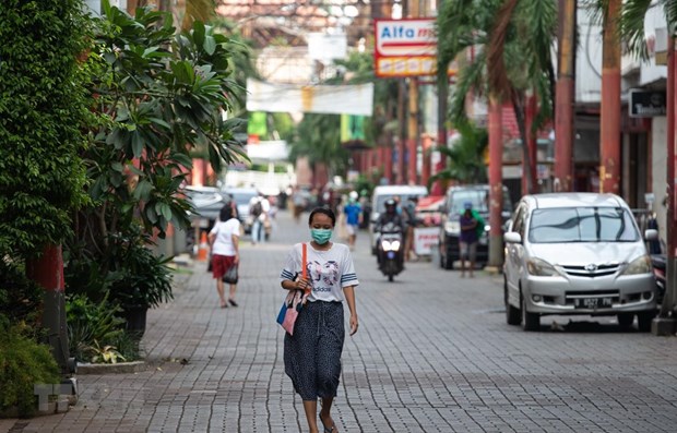 Indonesie : achats nets de 4,1 milliards de dollars hinh anh 1