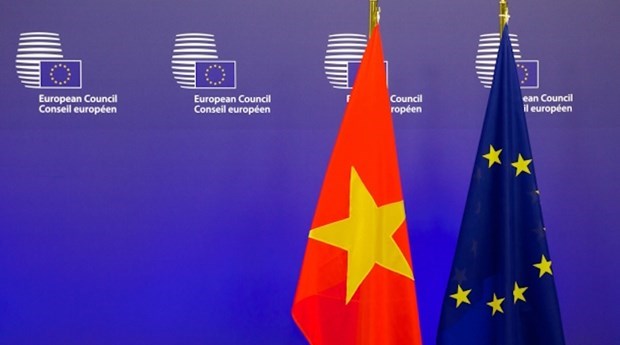 Une annee speciale pour les relations Vietnam-Union europeenne hinh anh 1